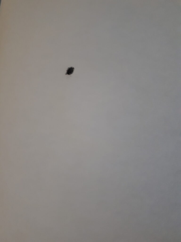 1_het_eerste_punt_20241209_163518