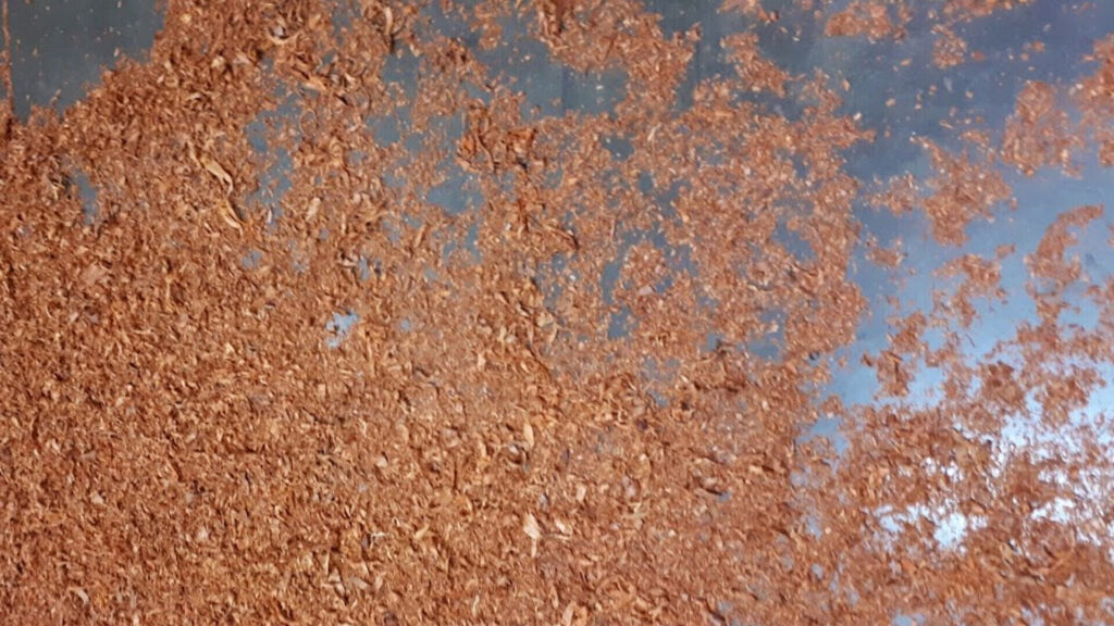 rsz_realisatie_wooden_curls_1